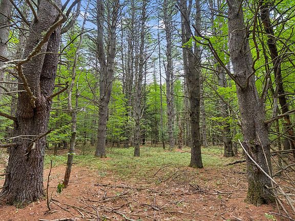 5th image of TBD Edes Falls Road