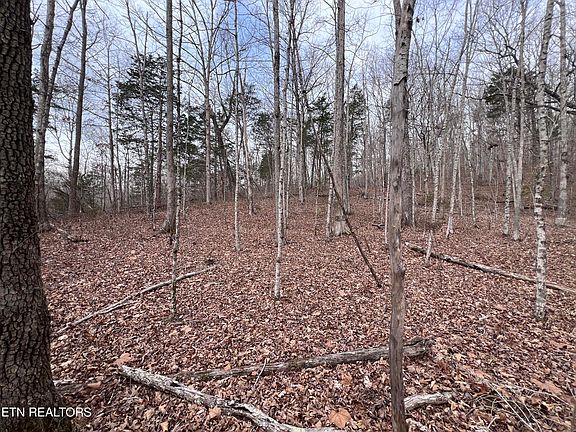 5th image of Buffalo Cove Ln