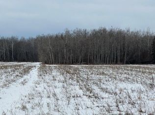 NULL-M/L S Hewer Rd, Pickford, MI 49774