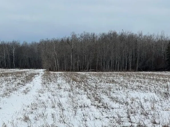 NULL-M/L S Hewer Rd, Pickford, MI 49774