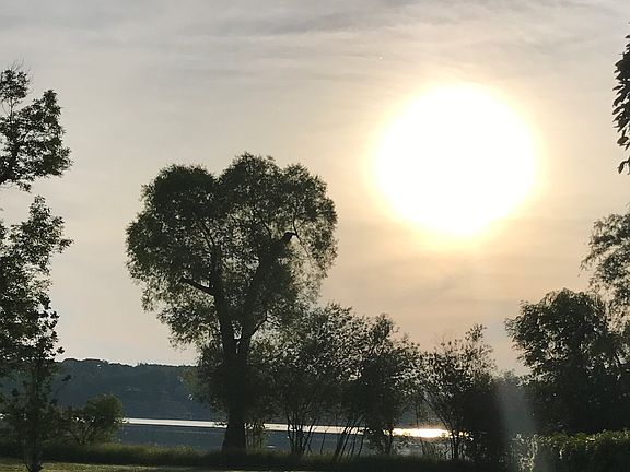 Sunrise from patio