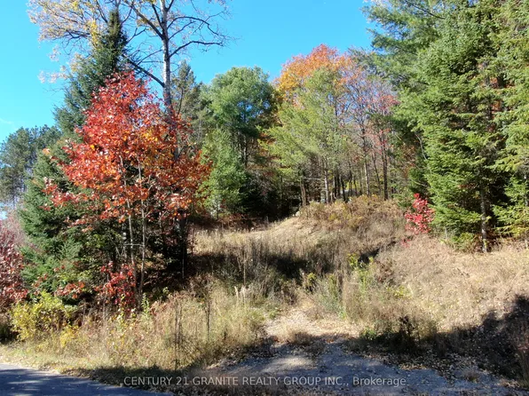 178 Gaebel Rd, Bancroft, ON K0L 1C0