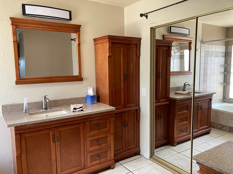 Master Bathroom 1