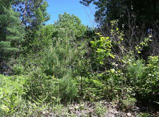 Forest Hills Dr, Spruce, MI 48762