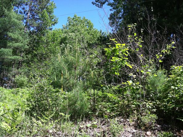 Forest Hills Dr, Spruce, MI 48762