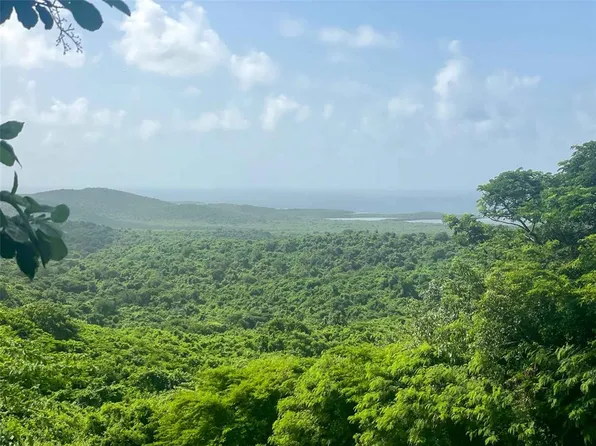 309 Calle Papo Frst, Vieques, PR 00765