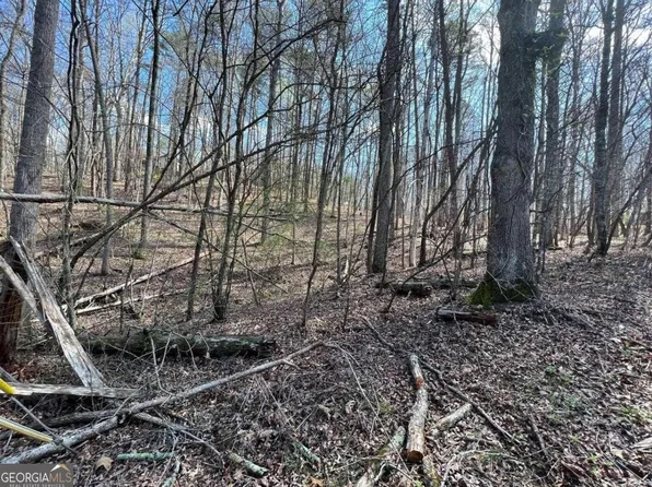 7512 Beachwood Dr, Murrayville, GA 30564