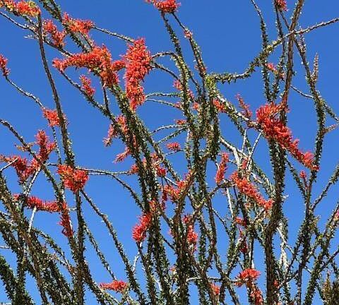 5th image of 4330 W Speedway Rd