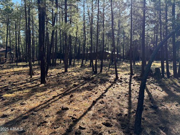 7543 Sunset Cir #81, Pinetop, AZ 85935