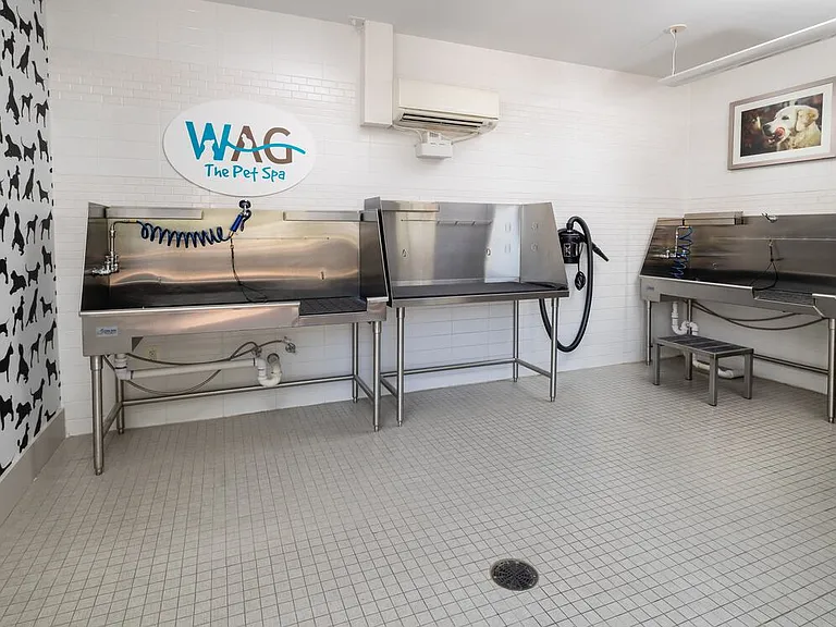 WAG pet spa