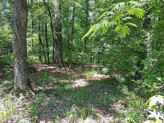 2nd image of 1395 Phillips Springs Rd