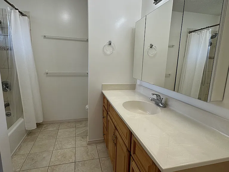 Primary bathroom