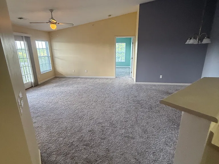 969 Mistflower Ln — Photo 4