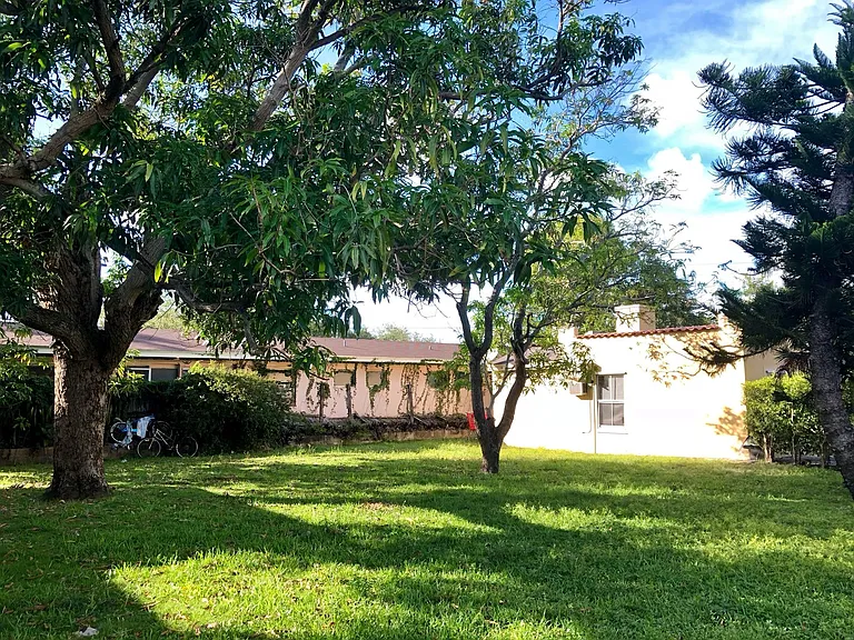 Mango Grove — Photo 11