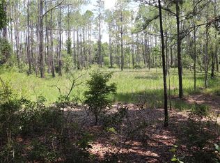 0 SW 156th Pl, Dunnellon, FL 34432