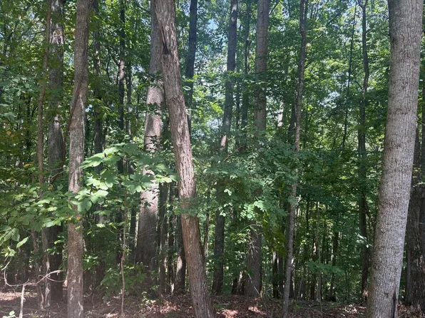 3 Doc Thomas Ridge Rd, Blairsville, GA 30512