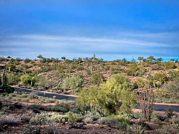 5th image of 10228 N Fire Canyon -- #15