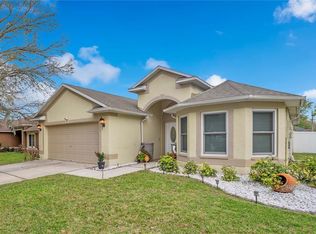 2724 Buckhorn Preserve Blvd, Valrico, FL 33596