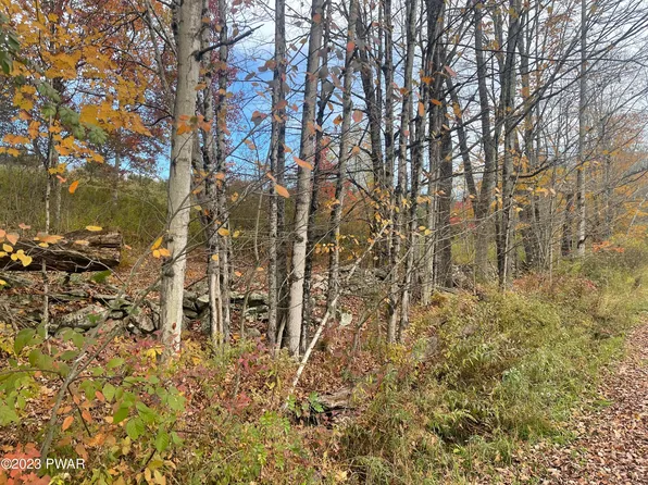 Eighmy Rd, Honesdale, PA 18431
