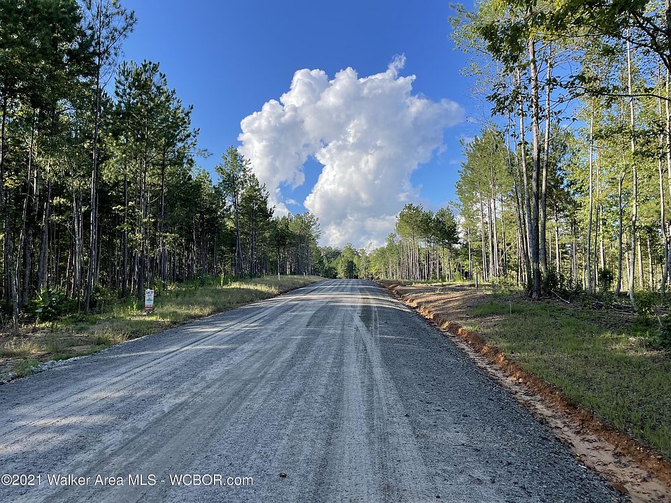 40 Shoreside At Sipsey, Double Springs, AL 35553 Zillow