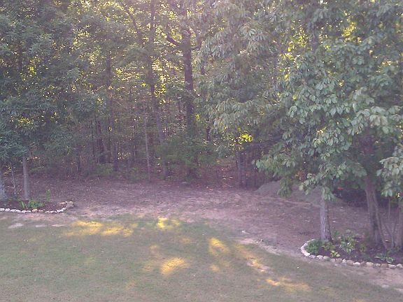 Large Backyard with Mtn view