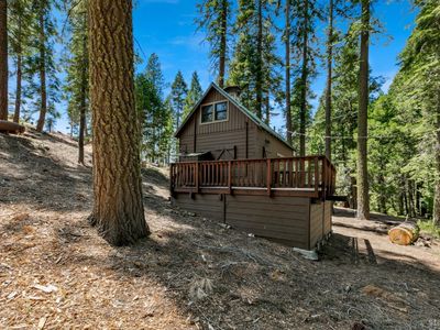 42 Sciots Trac, Twin Bridges, CA, 95735