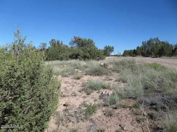 8492 CANNON Boulevard #182, Show Low, AZ 85901