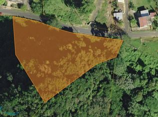 0 Highway 456 #KM-0.4, Camuy, PR 00627