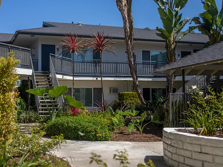 Royal Palms — Photo 6