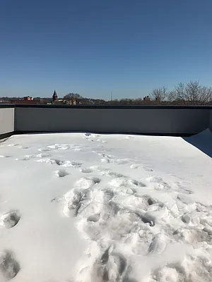 Rented by East Williamsburg Realty Inc | media 62