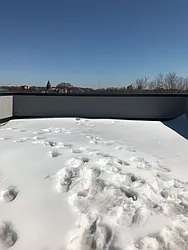 Rented by East Williamsburg Realty Inc