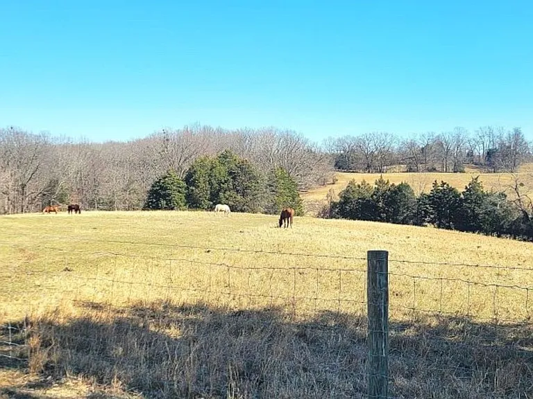 1444 Ben T Johns Rd — Photo 2
