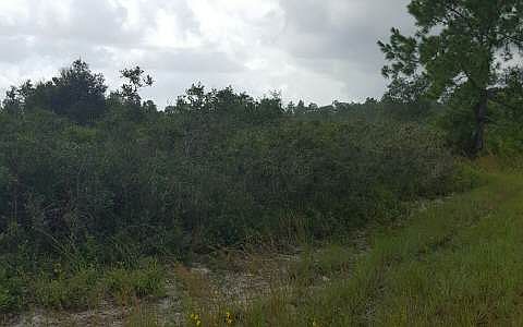 1st image of 4823 Trevino Ave