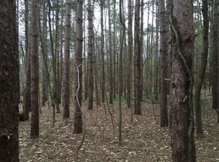 PARCEL Bass Rd #C, Middleville, MI 49333