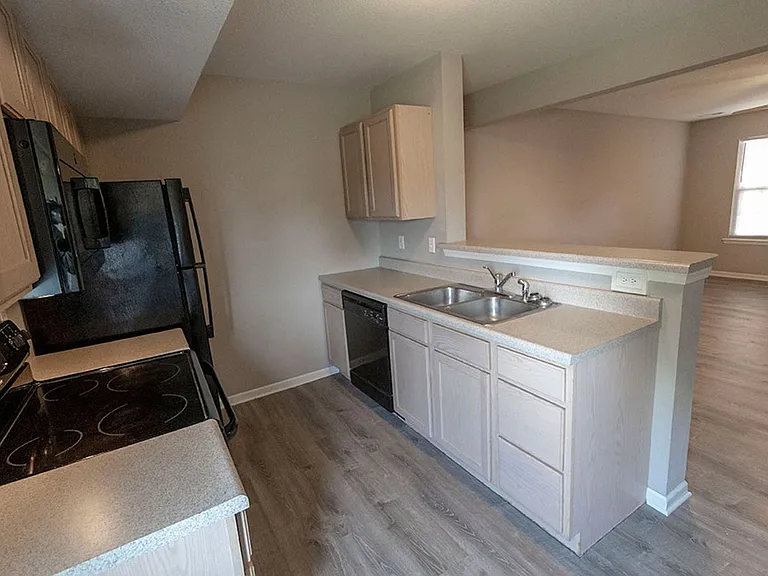 4001 Snowy Owl Dr — Photo 8