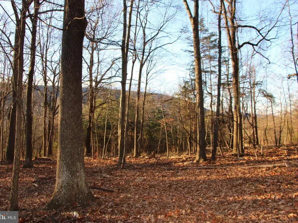 Capon Springs Grade, Star Tannery, VA 22654