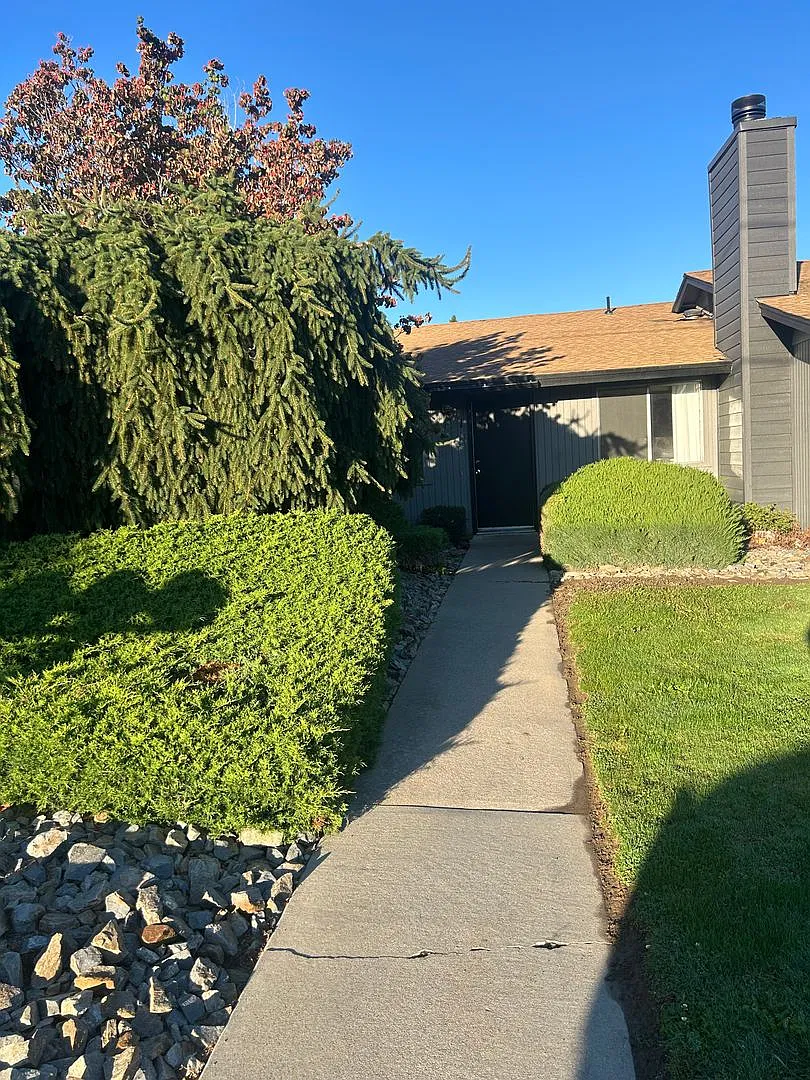 Pear Ln — Photo 1