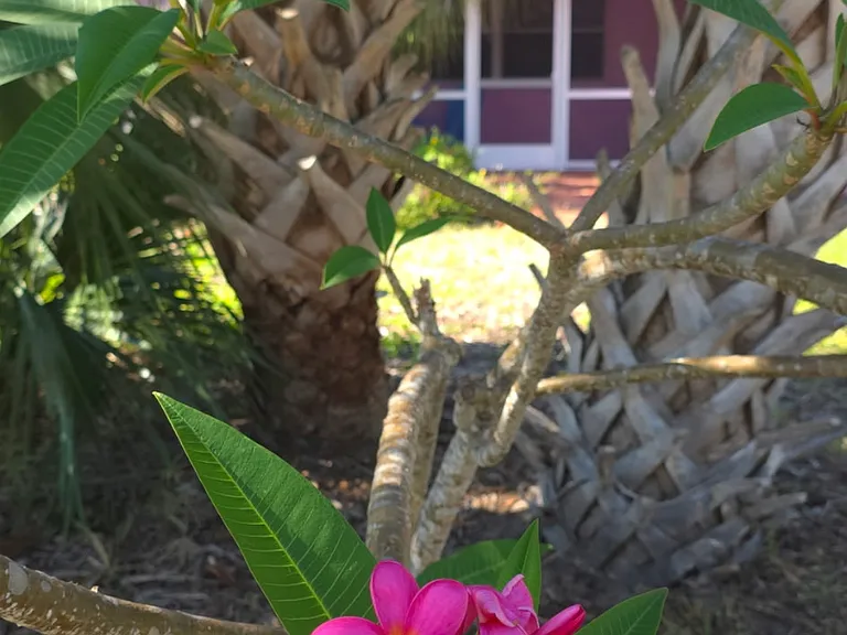 13749 Jamaica Dr — Photo 5