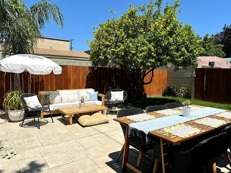 Backyard + Lemon Tree