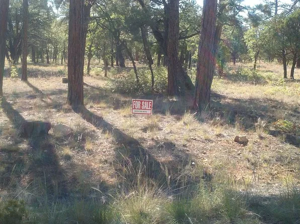 2220 Pine Crest Dr, Happy Jack, AZ 86024