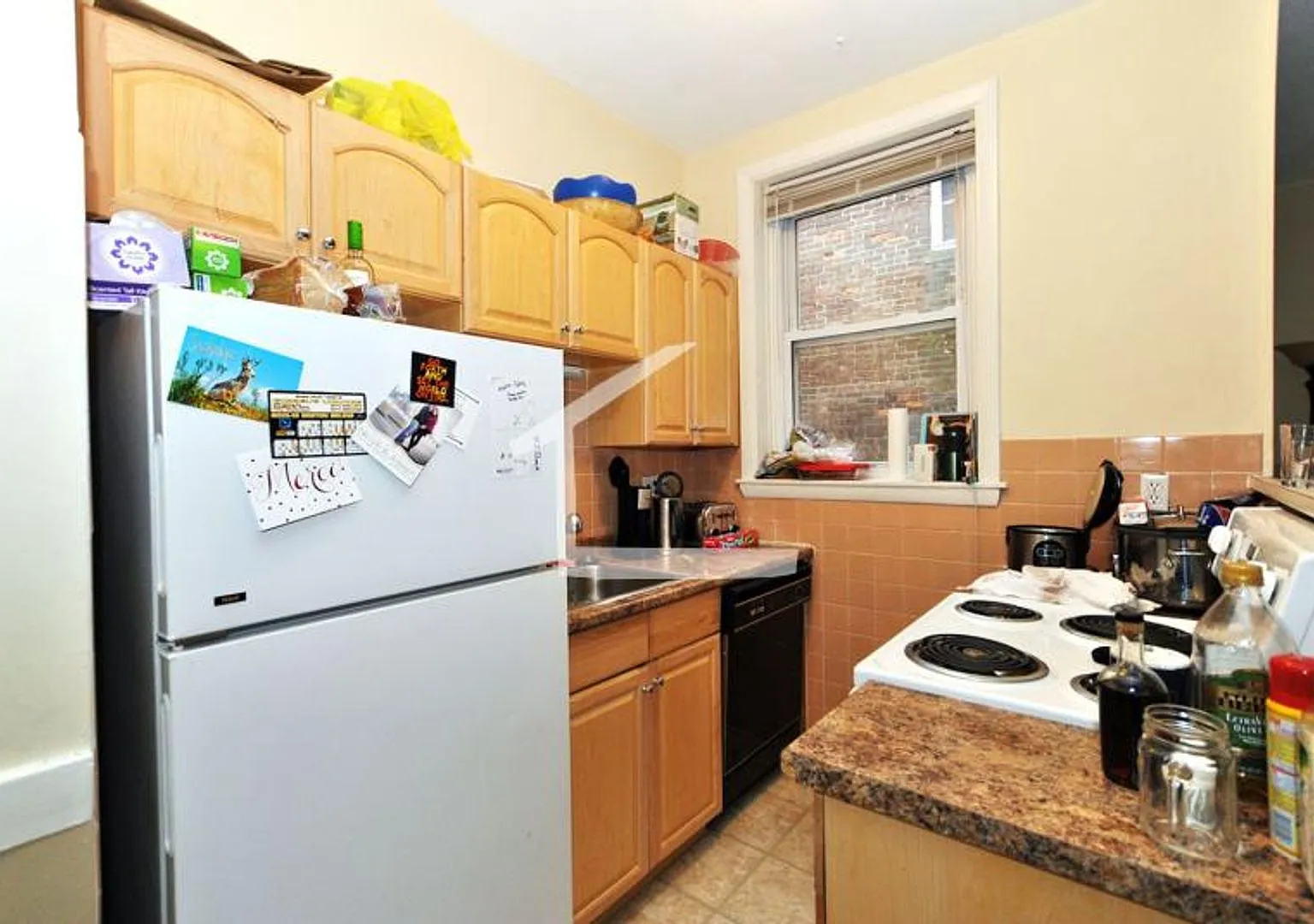 Nice 2 bed in Brookline — Photo 4