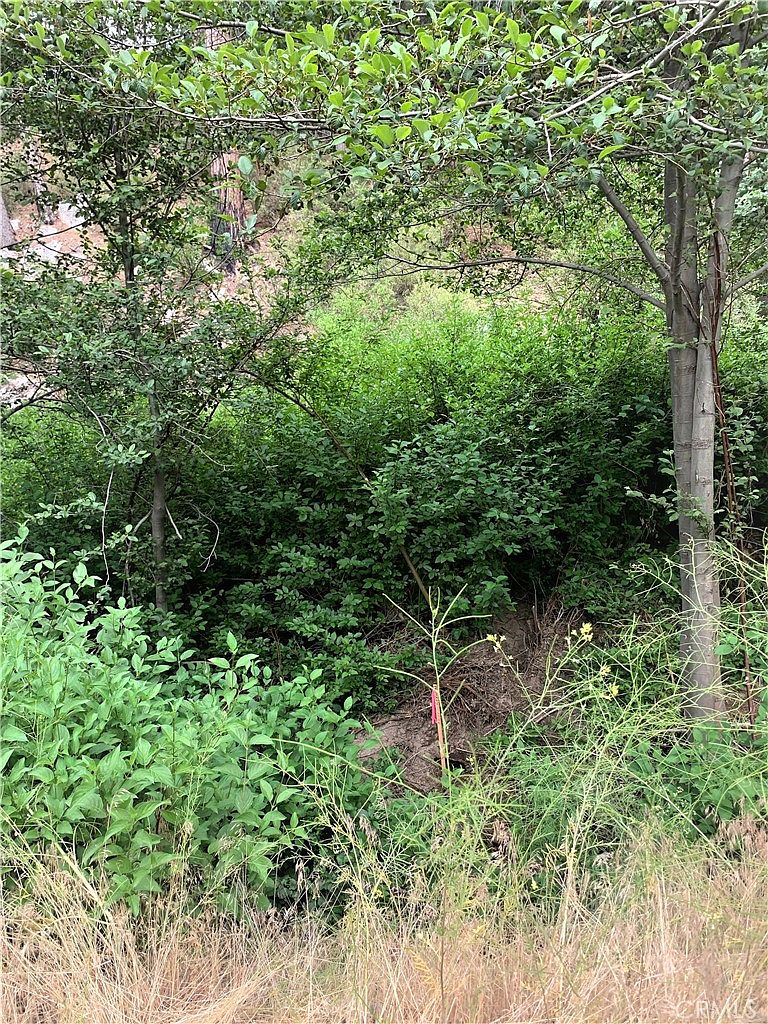 0 Hook Ln 30, Cedar Glen, CA 92321 MLS IV23043898 Zillow