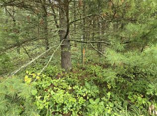 V/l Par B E #44, Idlewild, MI 49642