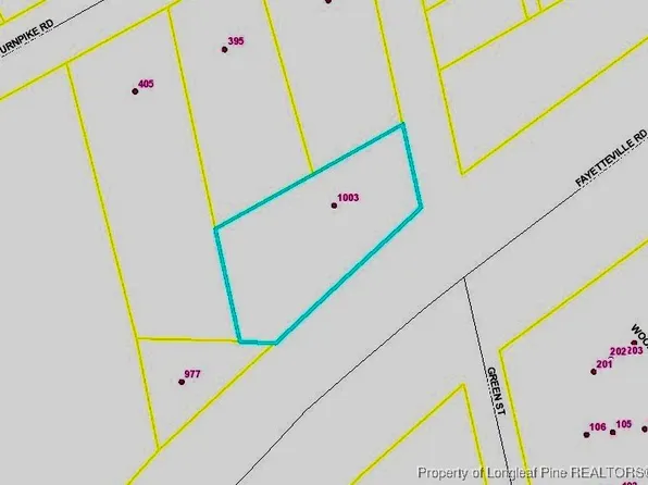 1003 Fayetteville Rd, Raeford, NC 28376