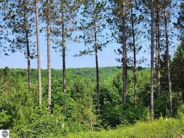 13997 S Cedar Valley Ridge Dr, Traverse City, MI 49684