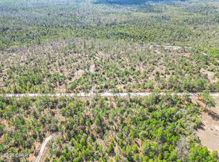 4303 NW Twin Ponds Rd, Altha, FL 32421