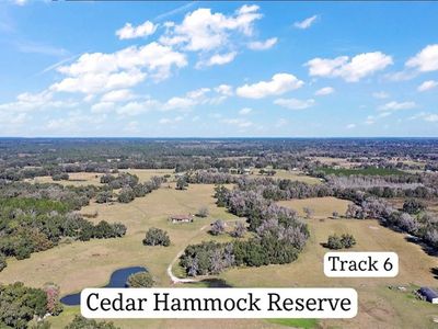 CR. 707, Webster, FL, 33597