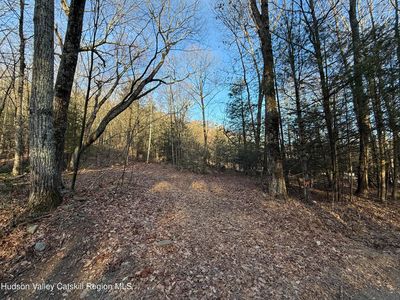 No Number Upper Cherrytown Road, Kerhonkson, NY, 12446