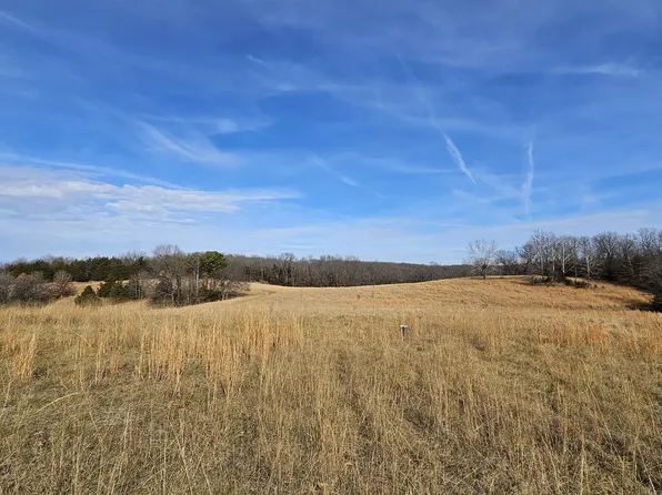 31822 County Road 95-240, Vanzant, MO 65768