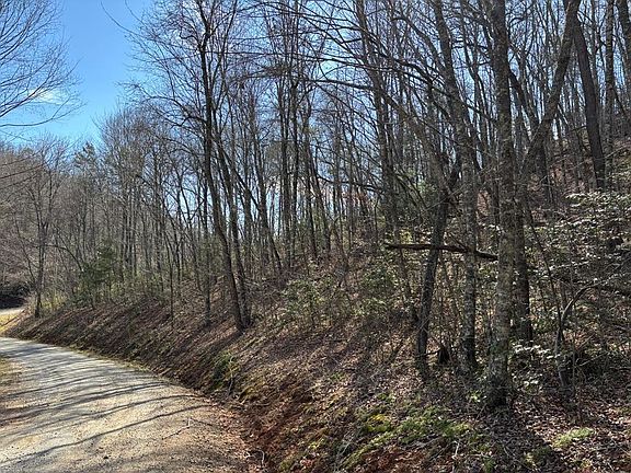 4th image of LOT 2 Mystic Mountain Rdg